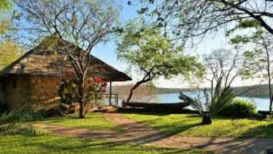 Beautiful:3h77lpbp5nq= Zimbabwe