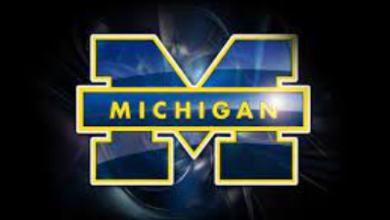 Logo:34nudidlysi= Michigan Wolverines Football
