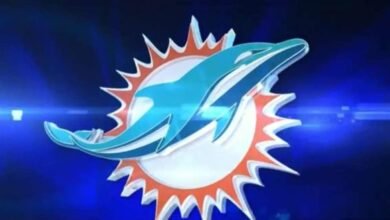 Logo:3bdry-Jarby= Miami Dolphins