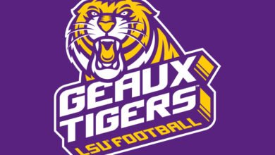 Logo:3brjjgz3zh0= Lsu