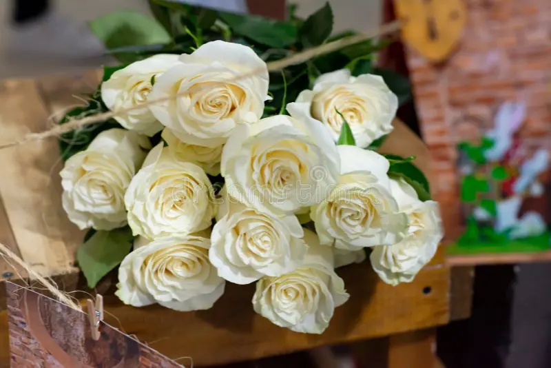 Beautiful:_Tryiaojspg= White Roses