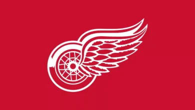 Logo:5niveajyhiy= Detroit Red Wings