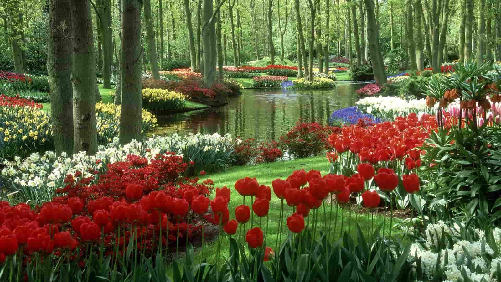 Beautiful:05qtxgbfwju= Garden