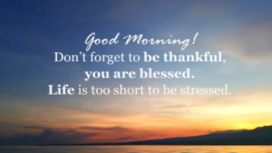 Beautiful:-Gzv0fbpv_Q= Good Morning Quotes
