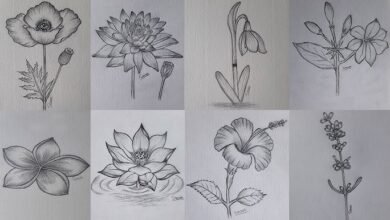 Beautiful:1qk6taauoqk= Easy Simple Flower Pencil Drawing