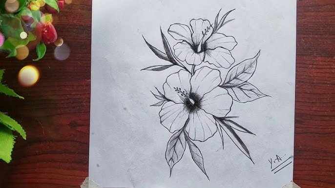 Beautiful:1qk6taauoqk= Easy Simple Flower Pencil Drawing