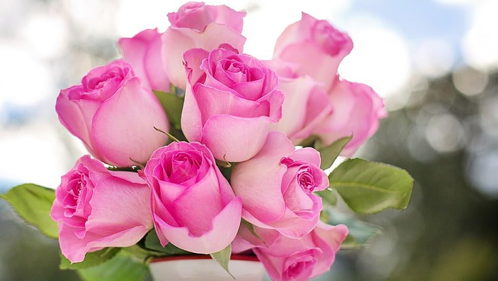 Beautiful:2urmjh5oktq= Rose Flowers